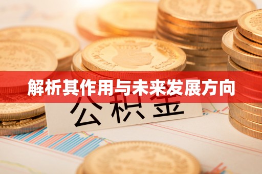 屏东解析其作用与未来发展方向